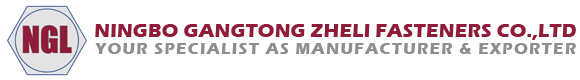 Ningbo Gangtong Zheli Fasteners: 25 años de solidez en sujetadores de alta resistencia para proyectos globales